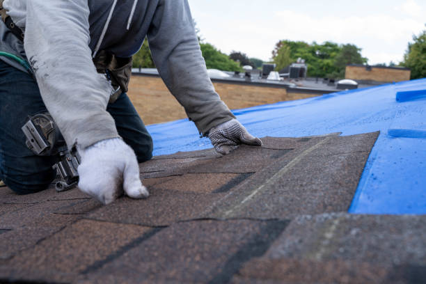 Quick and Trustworthy Emergency Roof Repair Services in Lakewood, WA